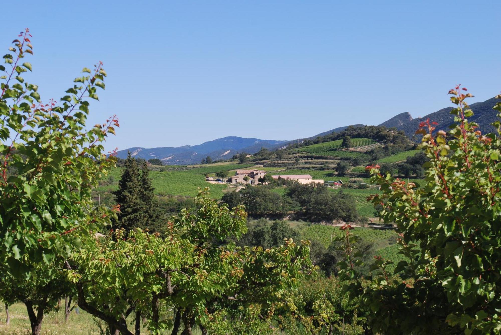 Bed and Breakfast Domaine De Provensol Venterol  Esterno foto