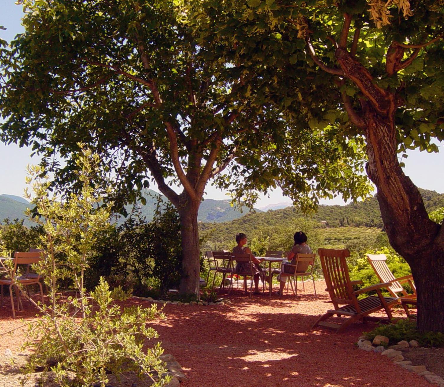 Bed and Breakfast Domaine De Provensol Venterol  Esterno foto